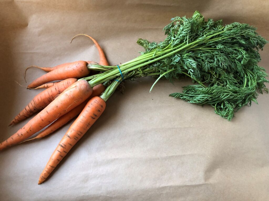 גזר carrots